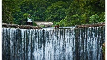 Виды Абхазии Виды Абхазии