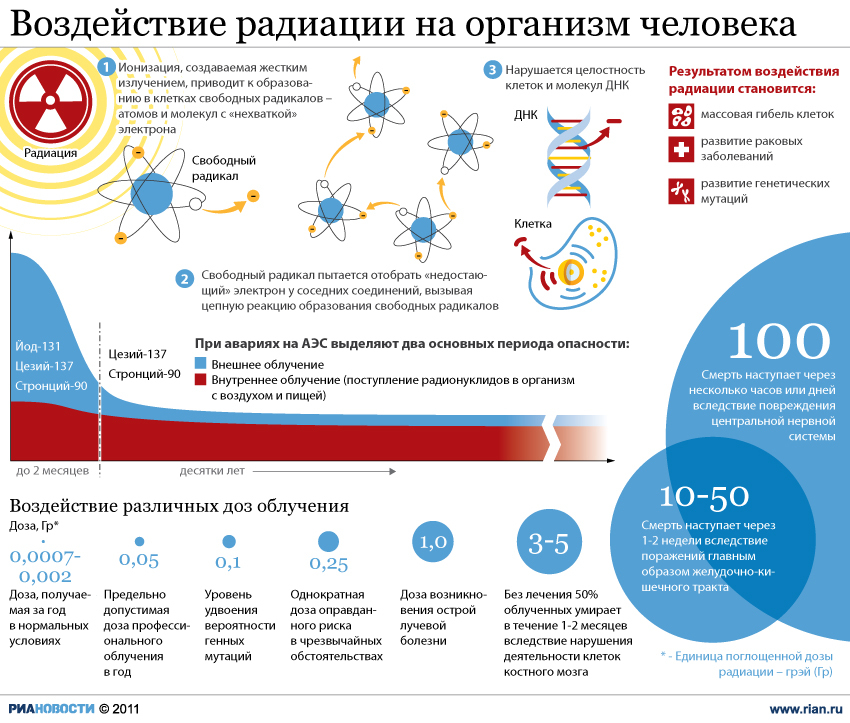 Влияние ионизирующей радиации на живые организмы презентация 11 класс