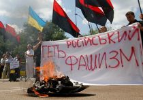 У российского посольства в Киеве сжигали портреты Сталина, Гитлера, георгиевскую ленту и государственный флаг России У российского посольства в Киеве сжигали портреты Сталина, Гитлера, георгиевскую ленту и государственный флаг России