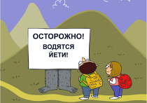 Йети, бигфут, снежный человек, etc... Йети, бигфут, снежный человек, etc...