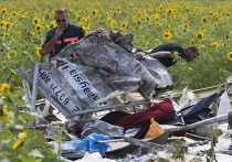 Обломки самолета MH17 Малайзийских авиалиний, разбившегося под Донецком Обломки самолета MH17 Малайзийских авиалиний, разбившегося под Донецком