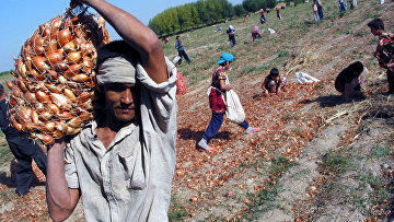 Крестьяне в Ферганской долине
