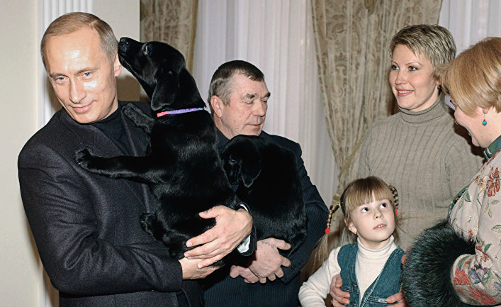 Щенки лабрадора Кони - подарок В.Путина А.Белевцу и Кате