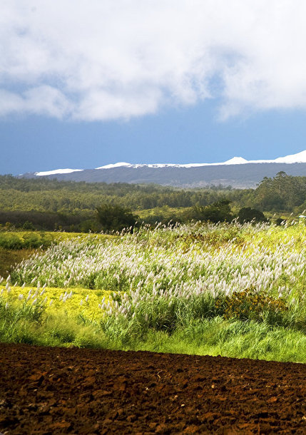 Вулкан Мауна-Кеа на Гавайских островах