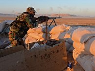 Боевые действия сирийской армии в окрестностях Пальмиры Боевые действия сирийской армии в окрестностях Пальмиры
