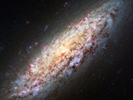 Спиральная галактика NGC 6503 Спиральная галактика NGC 6503