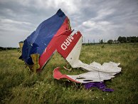 Поисковые работы на месте крушения малазийского лайнера Boeing 777 в районе Шахтерска Поисковые работы на месте крушения малазийского лайнера Boeing 777 в районе Шахтерска