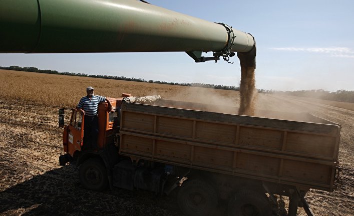 Уборка сои в Краснодарском крае