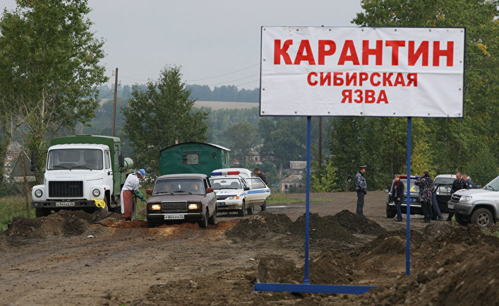 Сибирская нива иркутск