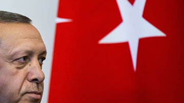 Президент Турции Реджеп Тайип Эрдоган во время встречи с президентом России Владимиром Путиным