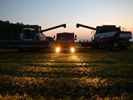 Уборка урожая зерновых в Новосибирской области Уборка урожая зерновых в Новосибирской области