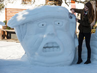 Портрет Дональда Трампа из снега в Германии Портрет Дональда Трампа из снега в Германии