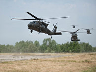  Black Hawk      