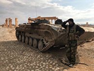Сирийский военный возле историко-архитектурного комплекса Древней Пальмиры в сирийской провинции Хомс Сирийский военный возле историко-архитектурного комплекса Древней Пальмиры в сирийской провинции Хомс