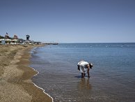 Женщина на одном из пляжей в Анталье Женщина на одном из пляжей в Анталье