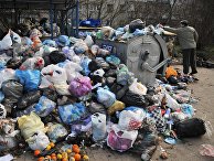 Проблема утилизации бытовых отходов во Львове Проблема утилизации бытовых отходов во Львове
