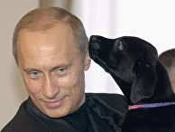 Президент России Владимир Путин с щенком Президент России Владимир Путин с щенком