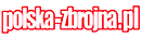 Polska Zbrojna logo Polska Zbrojna logo