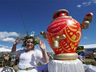Агропромышленный фестиваль "День Балтийского поля-2017" Агропромышленный фестиваль "День Балтийского поля-2017"