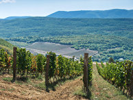 Винодельческое хозяйство "UPPA Winery" в Крыму Винодельческое хозяйство "UPPA Winery" в Крыму