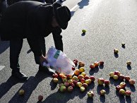 Акция протеста фермеров и садоводов Польши прошла в Варшаве Акция протеста фермеров и садоводов Польши прошла в Варшаве