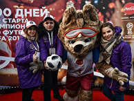 100 дней до старта чемпионата мира 2018 по футболу 100 дней до старта чемпионата мира 2018 по футболу