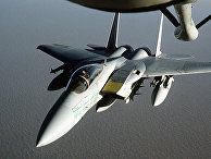 Американский тактический истребитель F-15 «Игл» Американский тактический истребитель F-15 «Игл»