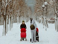Женщины с колясками гуляют в Юнтоловском заказнике в Санкт-Петербурге Женщины с колясками гуляют в Юнтоловском заказнике в Санкт-Петербурге