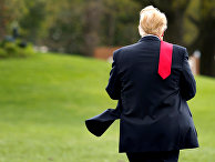 Президент США Дональд Трамп на Южной лужайке Белого дома в Вашингтоне перед отъездом в Мичиган Президент США Дональд Трамп на Южной лужайке Белого дома в Вашингтоне перед отъездом в Мичиган