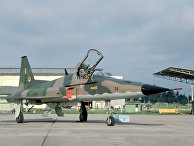 Истребитель F-5 "Тайгер" Истребитель F-5 "Тайгер"