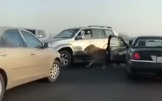 Лев на улице Кувейта Лев на улице Кувейта