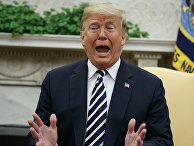 Президент США Дональд Трамп во время пресс-конференции в Овальном кабинете Белого дома в Вашингтоне Президент США Дональд Трамп во время пресс-конференции в Овальном кабинете Белого дома в Вашингтоне