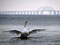 Города России. Керчь Города России. Керчь