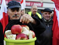 Акция протеста фермеров и садоводов Польши в Варшаве Акция протеста фермеров и садоводов Польши в Варшаве