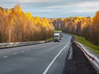 Осенний лес вдоль автодороги "Кола" в Кондопожском районе Республики Карелия