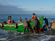 Рыбаки возвращаются после ловли рыбы в Черном море Рыбаки возвращаются после ловли рыбы в Черном море