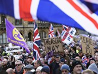 Акция в поддержку Brexit в Лондоне Акция в поддержку Brexit в Лондоне