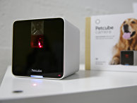 Камера Petcube Камера Petcube