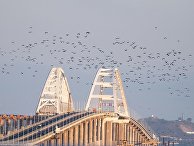 Птицы над Крымским мостом Птицы над Крымским мостом