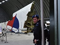 Доклад Совета безопасности Нидерландов по причинам крушения Boeing 777 Доклад Совета безопасности Нидерландов по причинам крушения Boeing 777