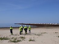 Строительство газопровода "Северный поток-2" в Ленинградской области Строительство газопровода "Северный поток-2" в Ленинградской области