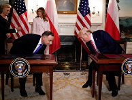 Президент США Дональд Трамп и президент Польши Анджей Дуда во время встречи в Вашингтоне Президент США Дональд Трамп и президент Польши Анджей Дуда во время встречи в Вашингтоне