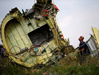 Следователь осматривает место крушения рейса MH17 авиакомпании Malaysia Airlines Следователь осматривает место крушения рейса MH17 авиакомпании Malaysia Airlines