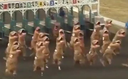 Забег тираннозавров: кто быстрее? Забег тираннозавров: кто быстрее?