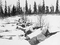 Финские лыжники на позиции, 12 января 1940 Финские лыжники на позиции, 12 января 1940