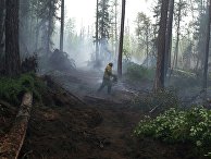 Ликвидация пожаров в Красноярском крае Ликвидация пожаров в Красноярском крае