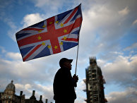 Протестующий против Brexit у здания парламента в Лондоне, Великобритания Протестующий против Brexit у здания парламента в Лондоне, Великобритания