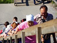Жители поднимаются по мосту на КПП "Станица Луганская" Жители поднимаются по мосту на КПП "Станица Луганская"