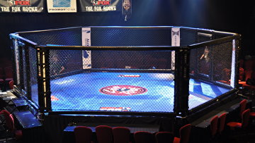 Клетка для проведения боев MMA