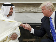 Президент США Дональд Трамп пожимает руку наследному принцу Абу-Даби шейху Мухаммеду бен Зайду Аль Нахайяну Президент США Дональд Трамп пожимает руку наследному принцу Абу-Даби шейху Мухаммеду бен Зайду Аль Нахайяну